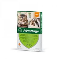   Advantage rácsepegteto oldat kistestu macskáknak és nyulaknak AUV 4 x 0,4 ml