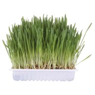 Trixie Macskafű Dobozos 100g