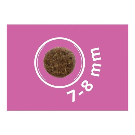 Dog Vital Hypoallergenic Adult Mini Bárány, Alma és Áfonya - Kimérve (1 kg)