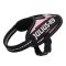 Julius-K9 IDC Kutyahám, 1-3 kg-os kutyák számára - pink