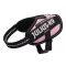Julius-K9 IDC Kutyahám, 2-5 kg-os kutyák számára - pink