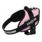 Julius-K9 IDC Kutyahám, 14-25 kg-os kutyák számára - pink