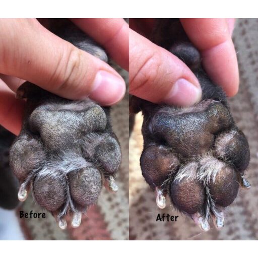 Paw Cure kutya mancsápoló - 30 ml