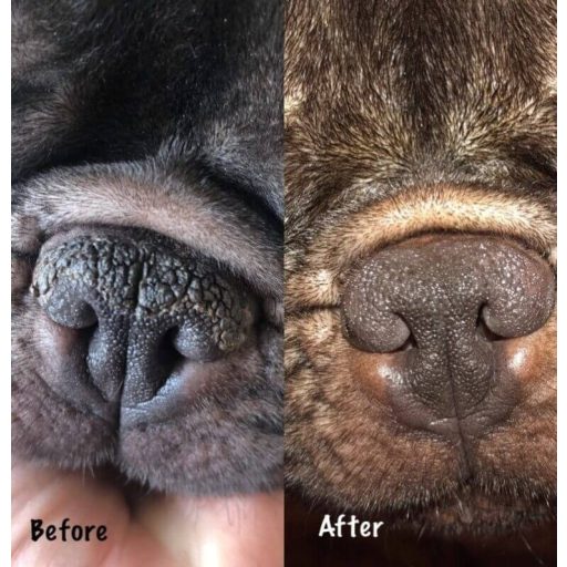 Nose Glo kutya orr krém - 30 ml