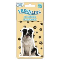 Autóillatosító - Border Collie