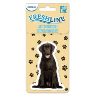 Autóillatosító - Labrador Retriver Csoki