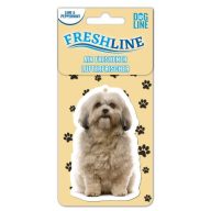 Autóillatosító - Shih-tzu