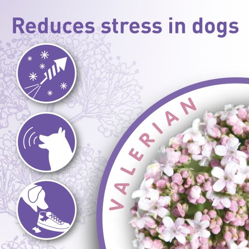 Beaphar Calming collar - nyugtató hatású nyakörv kutyáknak