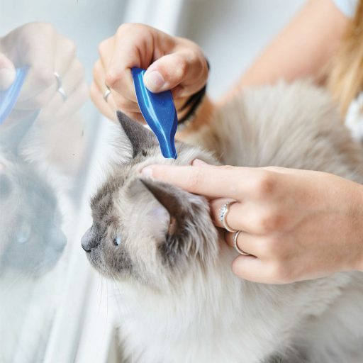 Beaphar CatComfort nyugtató hatású feromonos spot-on