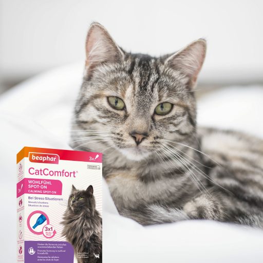 Beaphar CatComfort nyugtató hatású feromonos spot-on