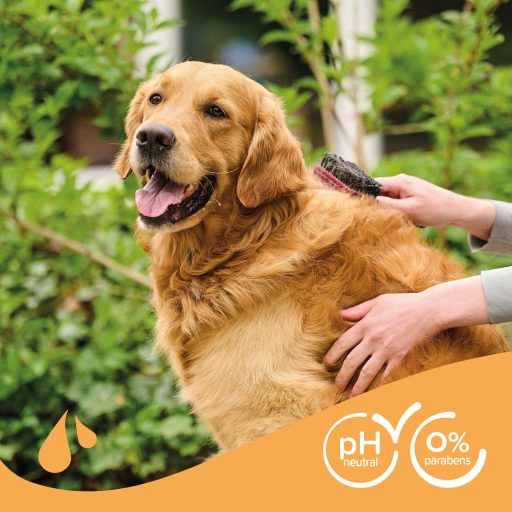 Beaphar sampon barna szőrű kutyáknak manukamézzel 250ml