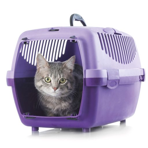 Beaphar CatComfort nyugtató hatású feromonos spray 30 ml
